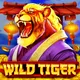 Winer game id